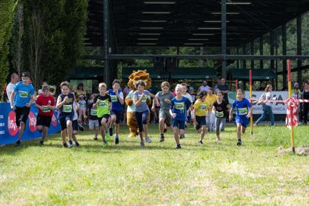 dndesign_6Tek_pod_Pohorjem-106 (Medium)